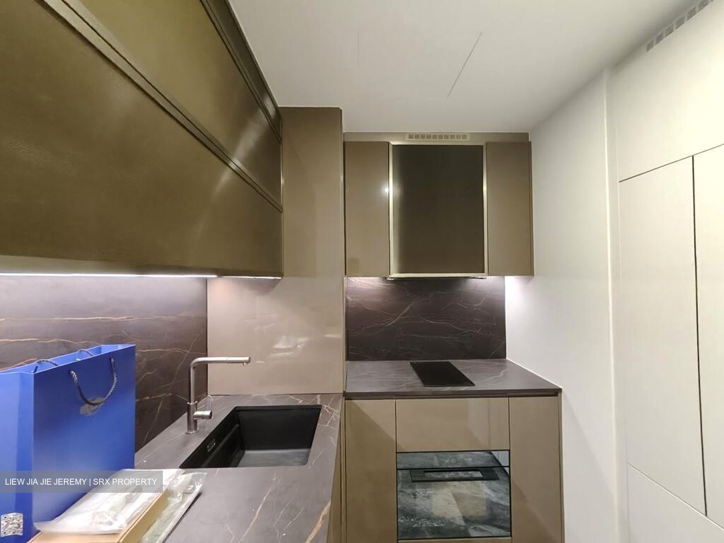 One Bernam (D2), Apartment #512385891